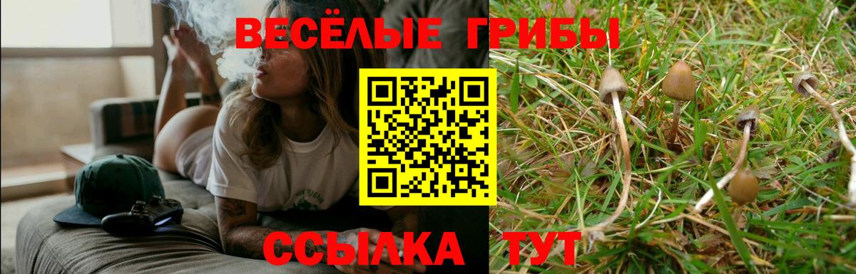 Галлюциногенные грибы GOLDEN TEACHER  Галлюциногенные грибы GOLDEN TEACHER  Кемерово 